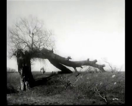 Štićenik - Djordje Kadijević (1973)