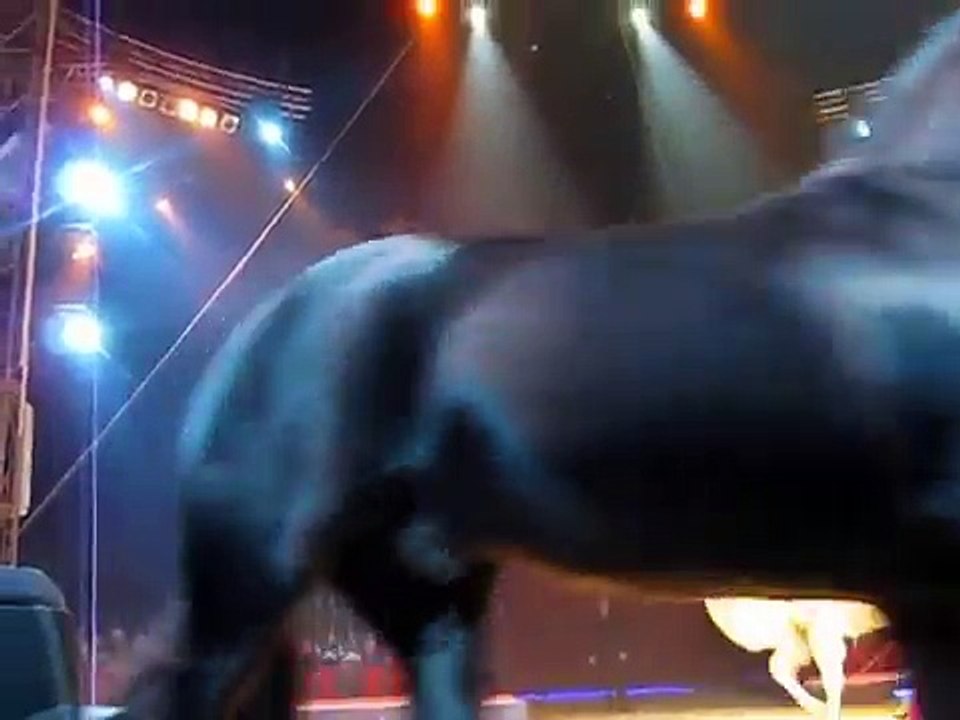 Weltweihnachtszirkus Stuttgart new-new - Dressur mit Pferden, Kamelen + Guanakos - Zirkus Knie