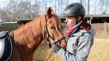 Junge Pferde anreiten: Das erste Mal aufsteigen und reiten!