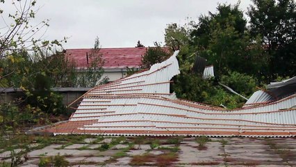 Seven killed as storm lashes Germany