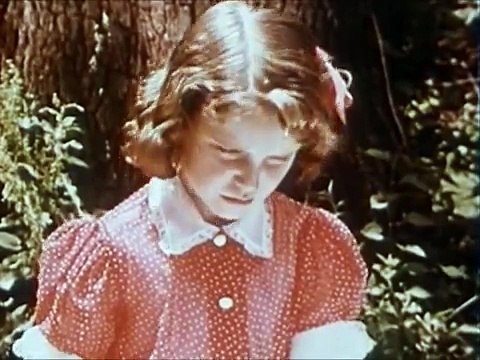 Goldilocks and The Three Bears - with Real Bears! 1950s.