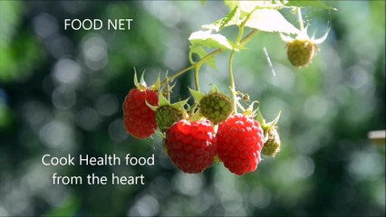 FOOD NET - Cook Health food from the heart