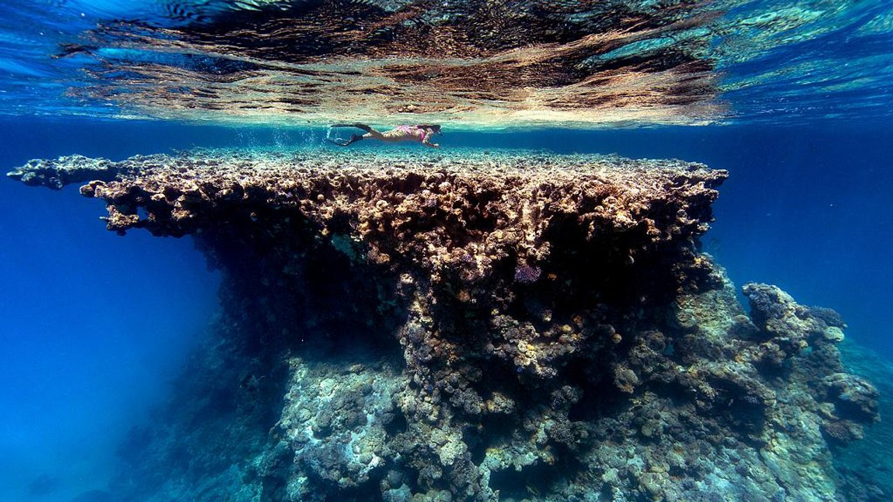 Meereskonferenz 'Our Ocean' in Malta