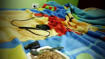 LA INVOCACIÓN DE SMILE.DOG | La mascota del Diablo | Rituales Creepypasta