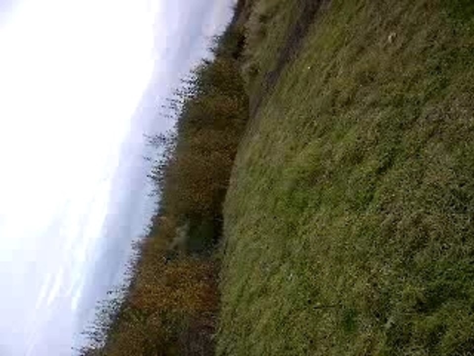 250 ktm saut by lechat