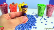 Shopkins and Paw Patrol in Skittles Candy