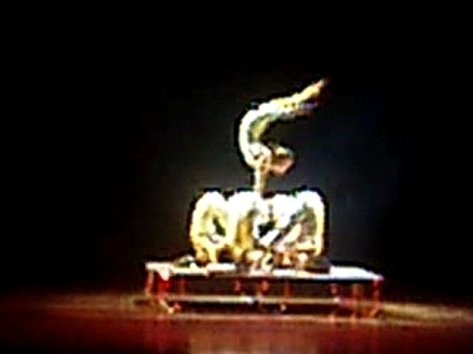 Cirque de Shangai
