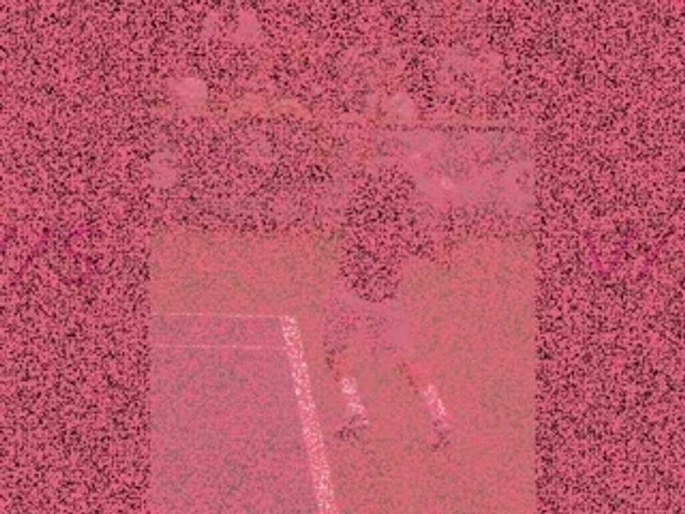 Bercy final