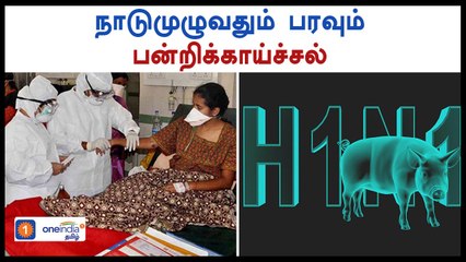 அதிகரிக்கும் பன்றி காய்ச்சல் ! மத்திய சுகாதாரத்துறை அதிர்ச்சி தகவல்-வீடியோ