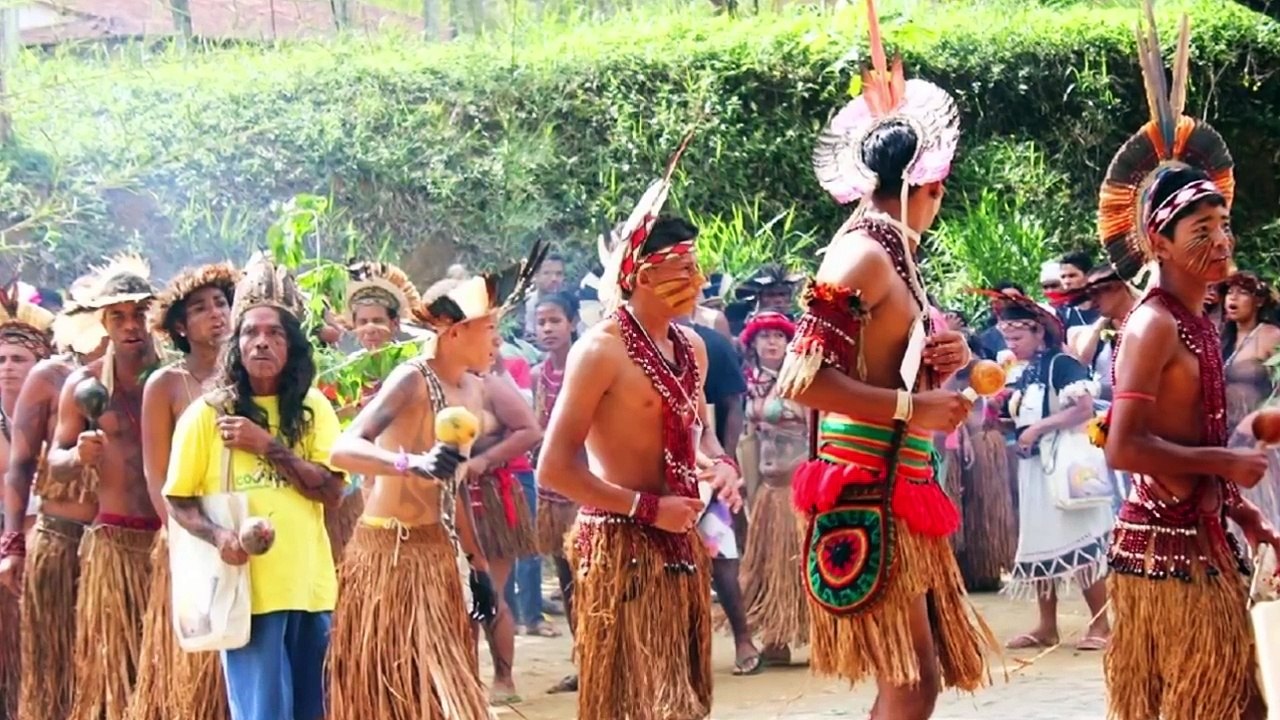 सूरीनाम जहां पेड़ों का फोटो लेने पर मौत _ Suriname a amazing country-H3kUVkC7hBU