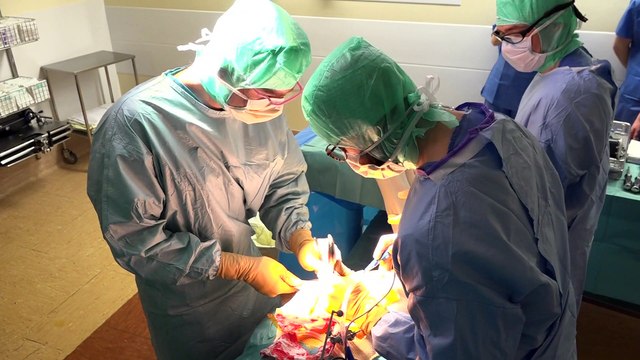 JT breton du mardi 23 janvier 2018 : un projet de prothèse à 24M€