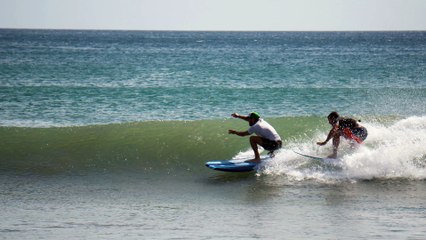 An Aggressive Panamanian Leash Pull