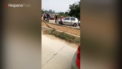 Enorme serpiente provocó una gran congestión de tránsito en Vietnam