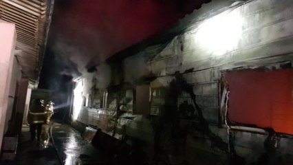 화순 돈사에서 불...돼지 490여 마리 폐사 / YTN