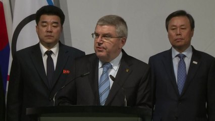 북한 선수단 46명 확정...아이스하키 단일팀에 12명 가세 / YTN