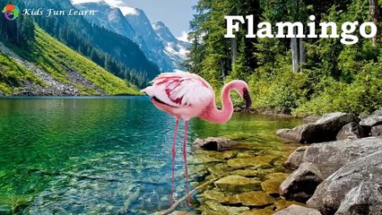 Learning Wild Animals Names and Sounds for kids | Learning Wild Animals for Kids