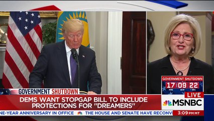 Rep Diane Black on MSNBC