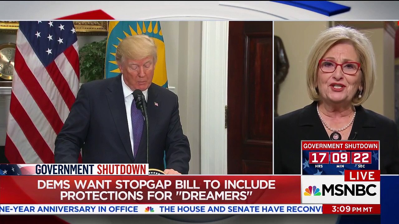 Rep Diane Black on MSNBC