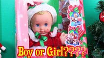 Surprise Baby Diaper Doll MAGIC NURSERY Gender Reveal Boy or Girl or Twins? DisneyCarToys