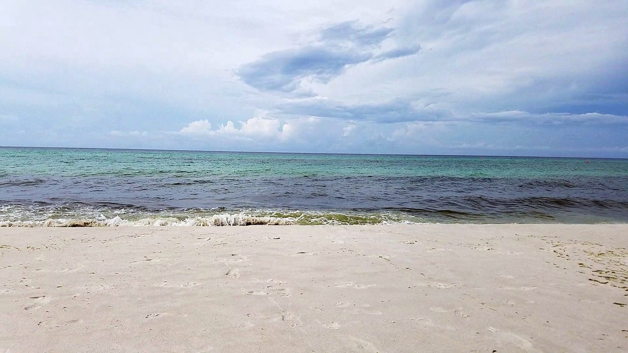 Florida waves