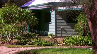 Home and Away - 6393 - 30th March 2016