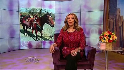 The Wendy Williams Show - S7 - E88 - Hot Talk - Jan 29, 2016