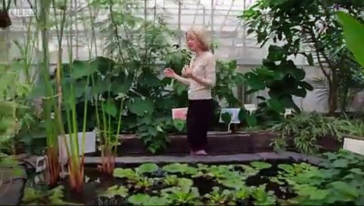 Trust Me I’m A Doctor - S4 - E4 - Jan 27, 2016