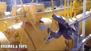 Los Mejores Videos de Risa 2016 - Animales Graciosos 2018