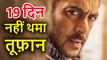 Tiger Zinda Hai 19th Day Box Office Collection, Salman Khan, Katrina Kaif
