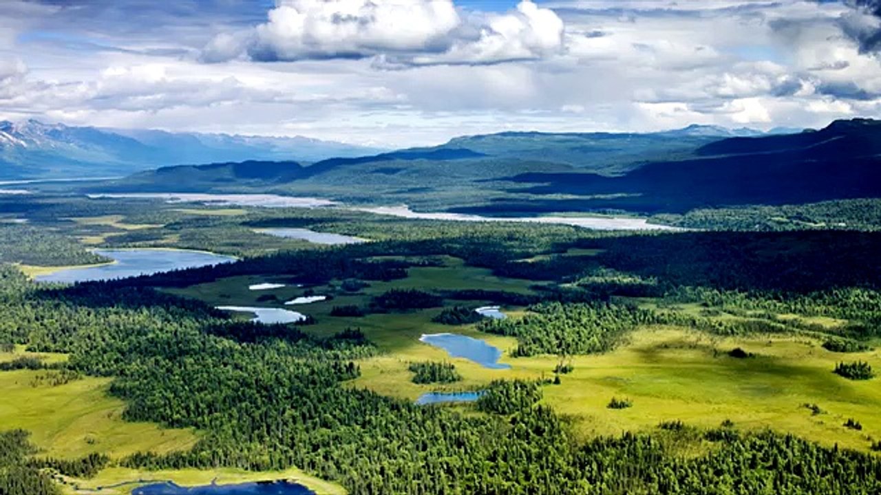 Askeladden og de gode hjelperne - Norske folkeeventyr