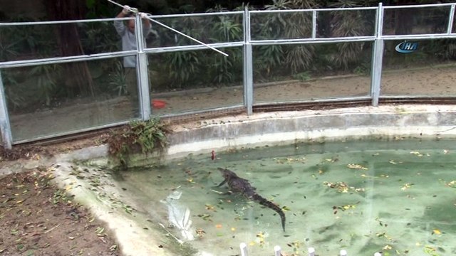 Soğuk kış günlerine inat burada dört mevsim yaz