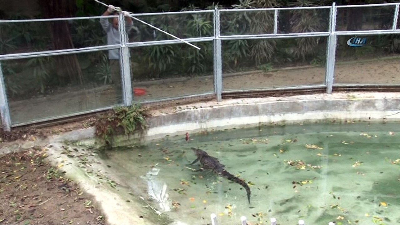 Soğuk kış günlerine inat burada dört mevsim yaz