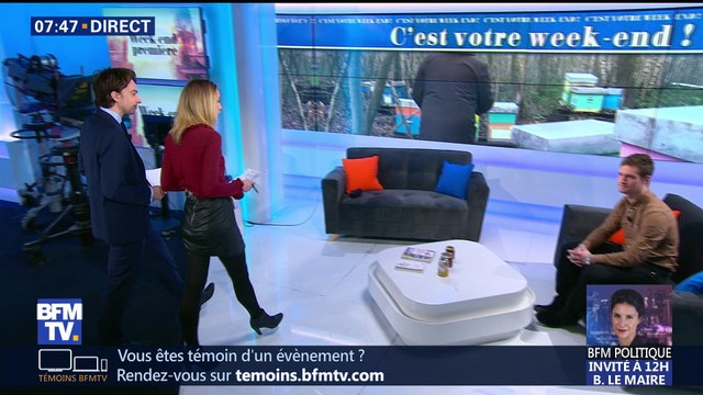 Les abeilles, une espèce à protéger