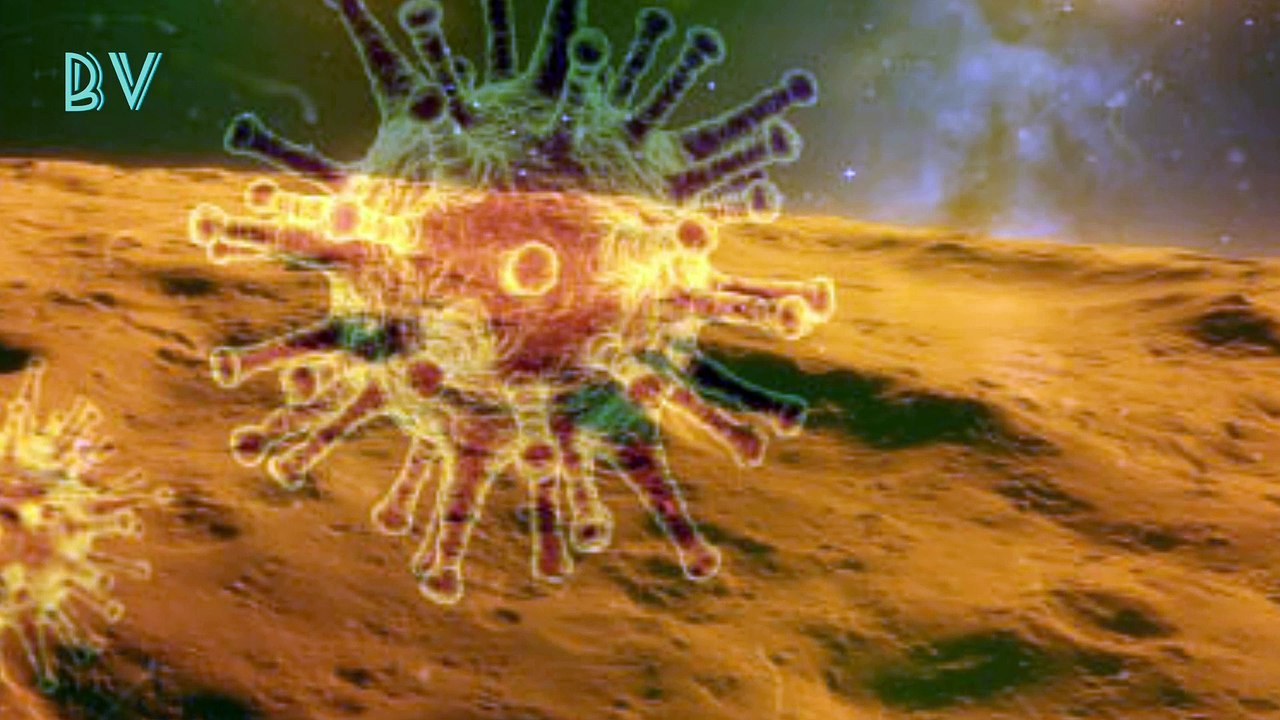 Viruses are everywhere maybe even in space biologists say