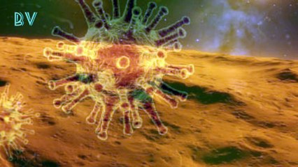 Viruses are everywhere maybe even in space biologists say