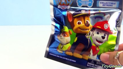 Paw Patrol Pull Back Pups Rescue Rocky With Surprises