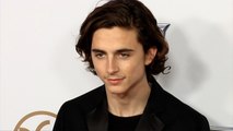 Timothee Chalamet 2018 Producers Guild Awards Red Carpet