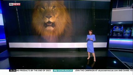 Sky News_Circus animal ban - should lion taming be allowed 16Jan18