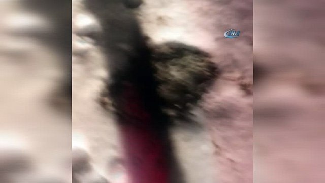 Dağda mahsur kalan 3 üniversiteli genç, jandarma ve AFAD tarafından kurtarıldı