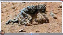 #MARS MAN & WOMAN ? MUMMIFIED ALIEN COUPLE ? ArtAlienTV