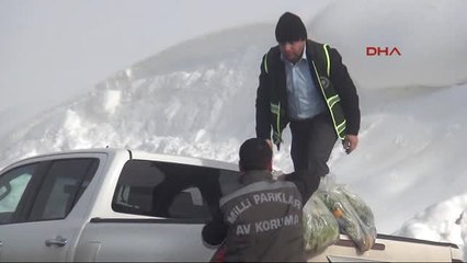 Şırnak'ta Doğaya Hayvanlar İçin Yem Bırakıldı