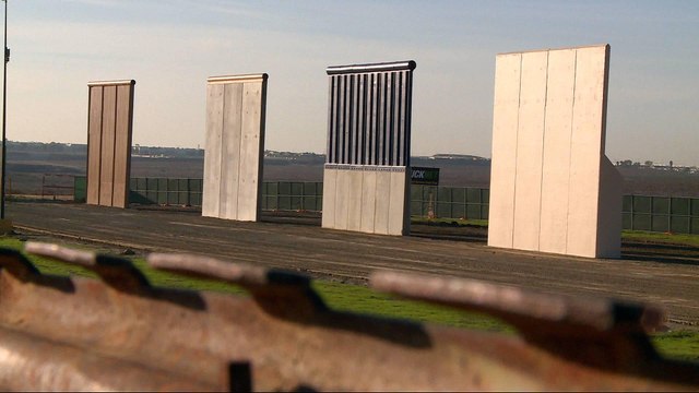 Border wall, immigration dominates Trump's first year