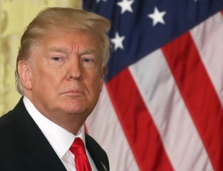 President Trump's Tweets: A Year in Review