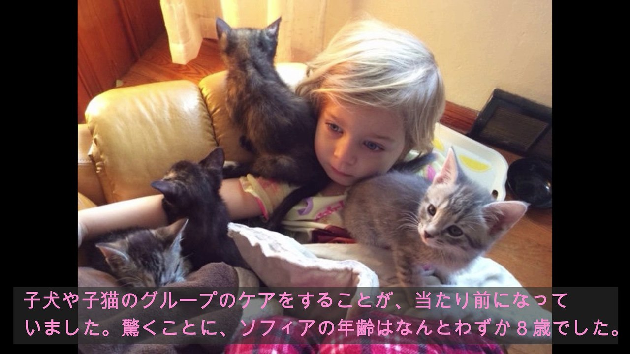 本物の天使(^^♪動物たちが寄ってくる不思議な少女