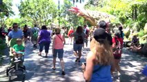 OPENING DAY - [4K] Full Park Walk Through - Pandora The World of Avatar DAKTP Orlando, FL