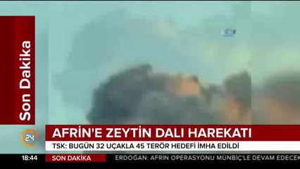 Zeytin Dalı Harekatı