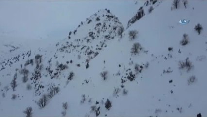Bitlis'teki Çığ Bölgesinde İlk Görüntüler