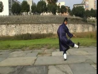 Taiyi Wuxing Quan Sifu Yuan Xiu Gang Wudang