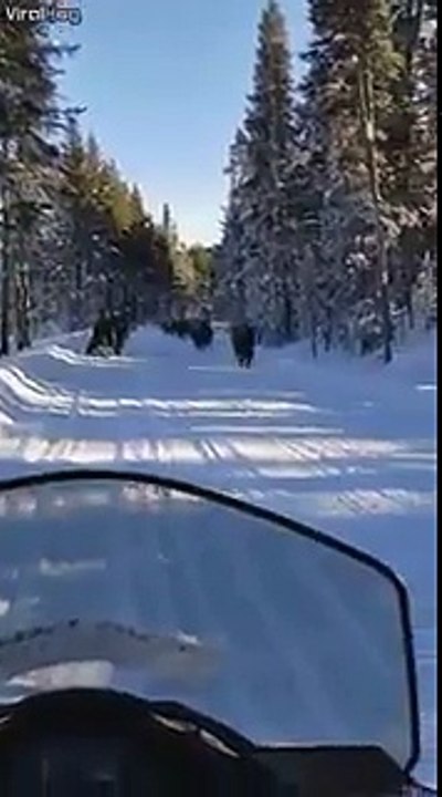 Цім краще поступитися дорогою