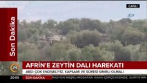 Zeytin Dalı Harekatı